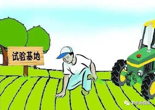 丹寨縣人大常委會(huì)精準(zhǔn)幫扶洋浪村 從“土生土長”到“兩大家”的職業(yè)中介探索